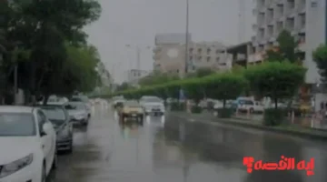 توقعات الأرصاد.. أمطار في بغداد والمحافظات ومنخفض جوي شديد البرودة الأسبوع المقبل 2026